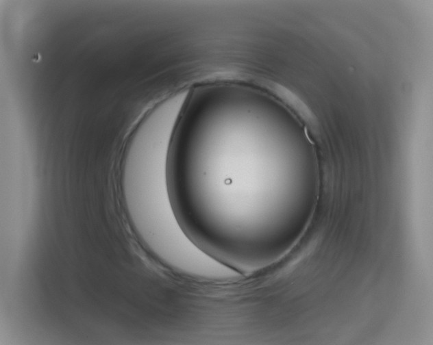 X0000114440481200910231321