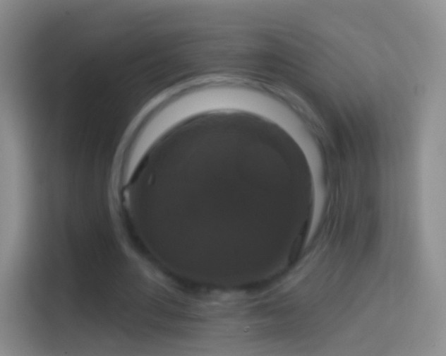 X0000114440484200910231321