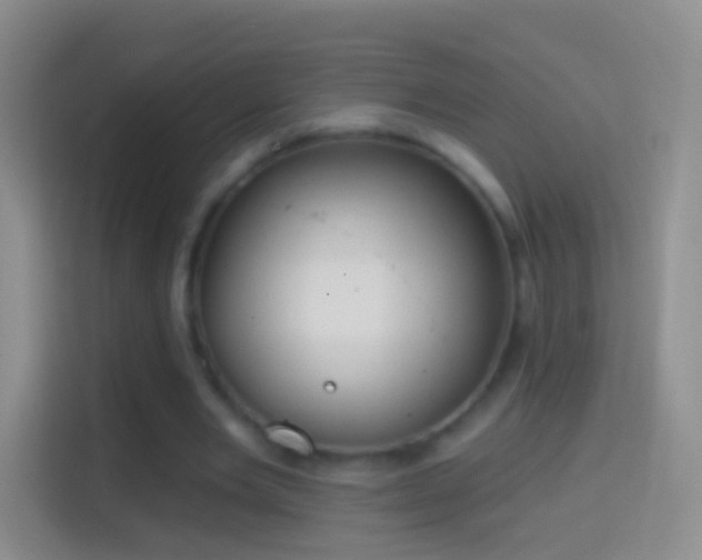 X0000114440485200910231321