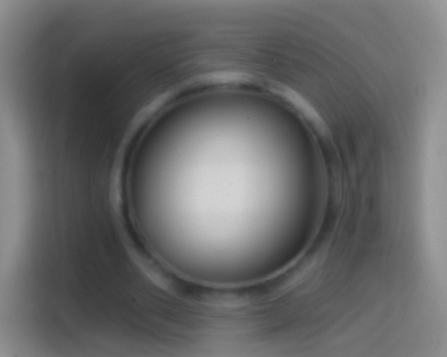 X0000114440486200910231321