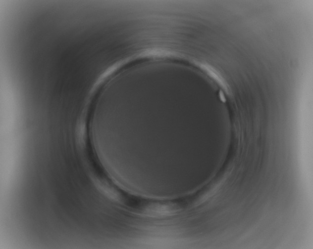 X0000114440488200910231321