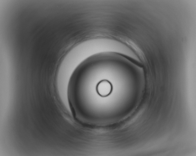 X0000114440489200910231321