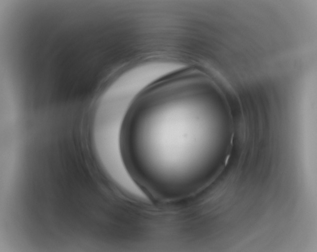 X0000114440491200910231321