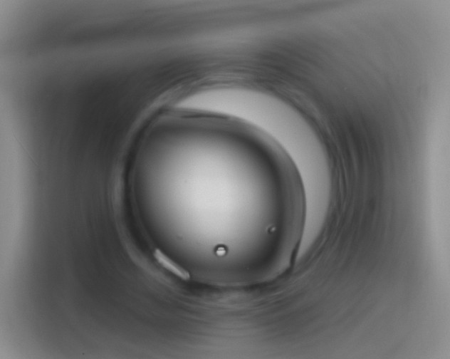 X0000114440492200910231321