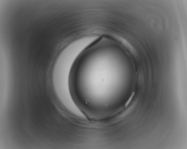 X0000114440493200910231321