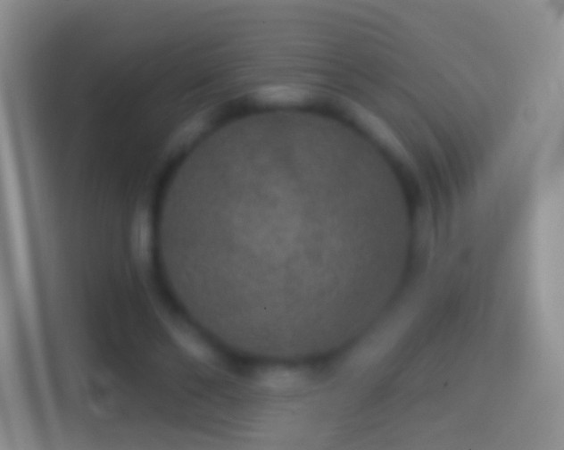 X0000114440494200910231321