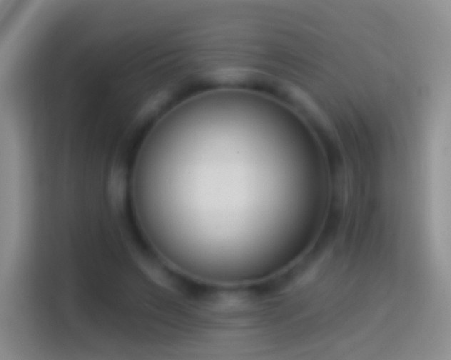 X0000114440495200910231321