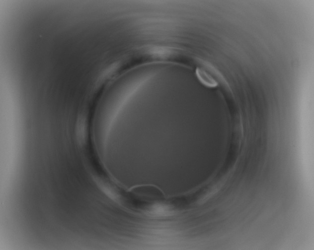 X0000114440496200910231321