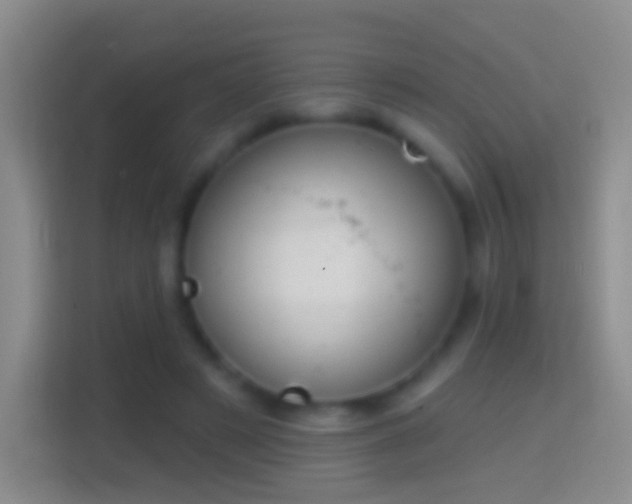 X0000114440497200910231321