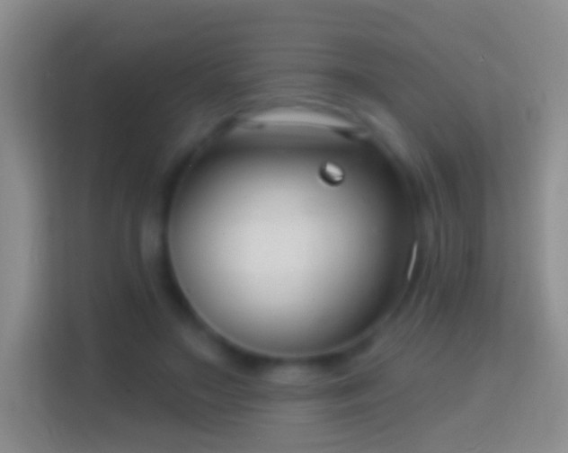 X0000114440499200910231321