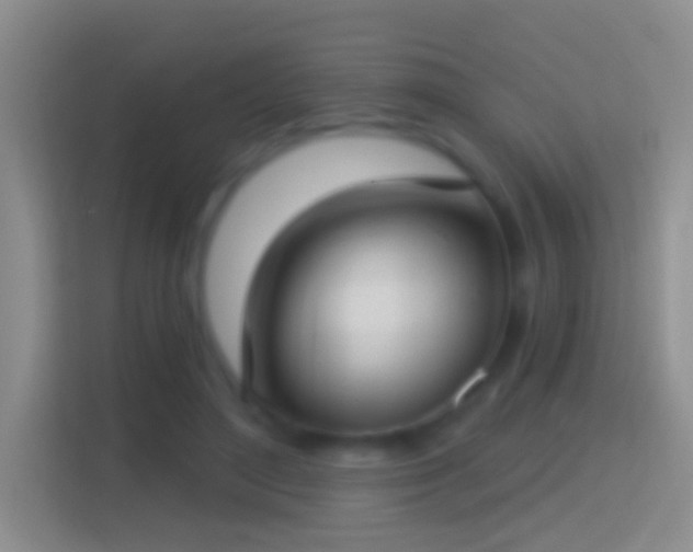 X0000114440500200910231321