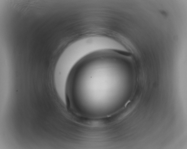 X0000114440501200910231321