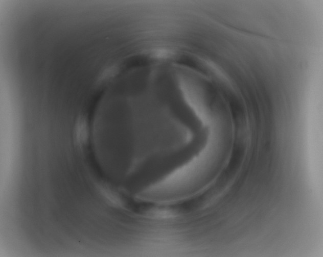 X0000114440502200910231321