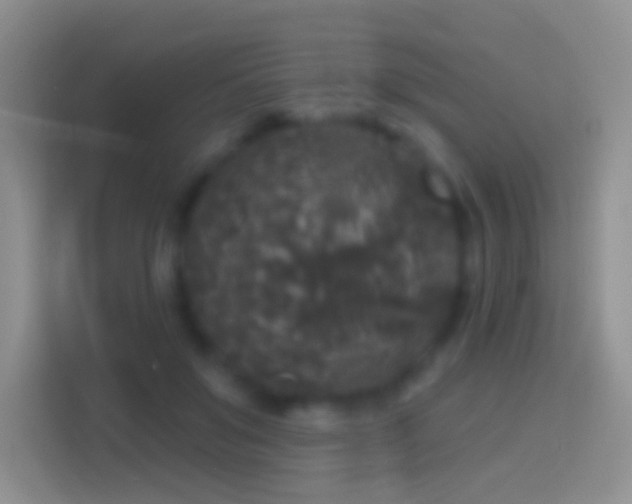 X0000114440503200910231321