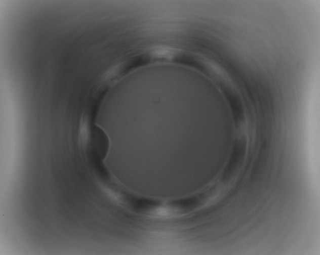 X0000114440504200910231321