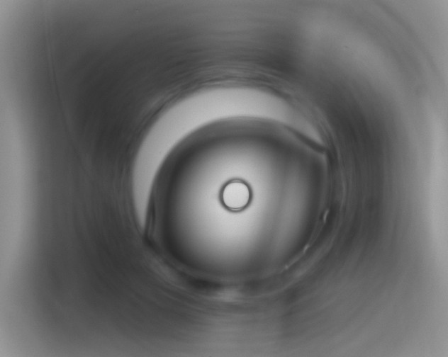 X0000114440505200910231321