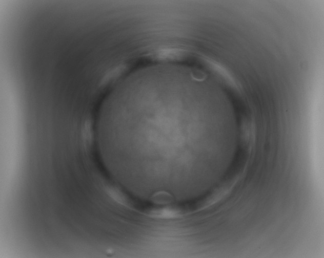 X0000114440506200910231321