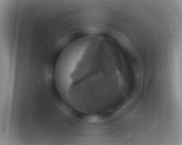 X0000114440507200910231321