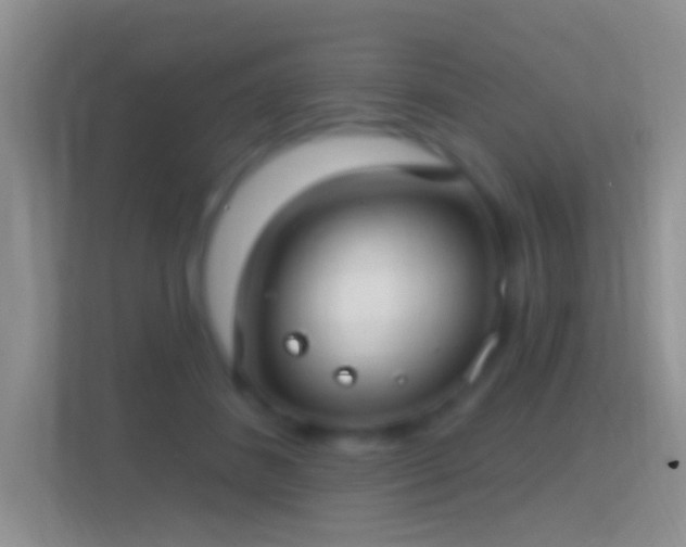 X0000114440508200910231321