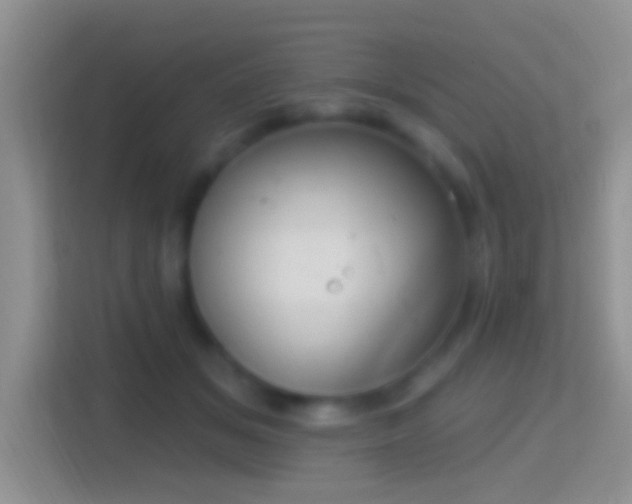 X0000114440509200910231321