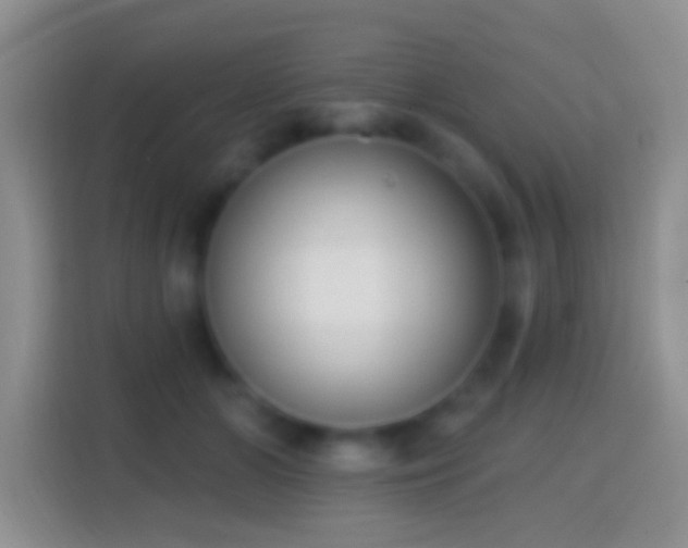 X0000114440510200910231321