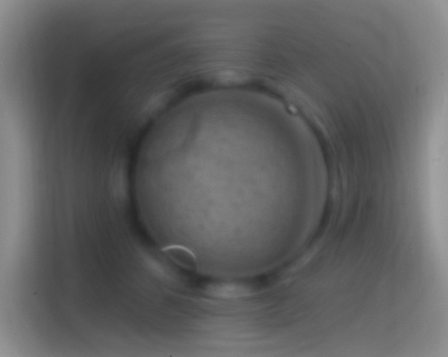 X0000114440512200910231321