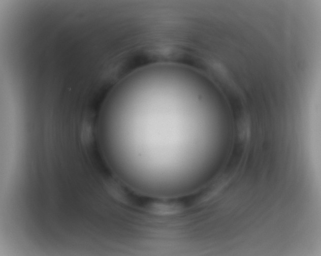 X0000114440515200910231321