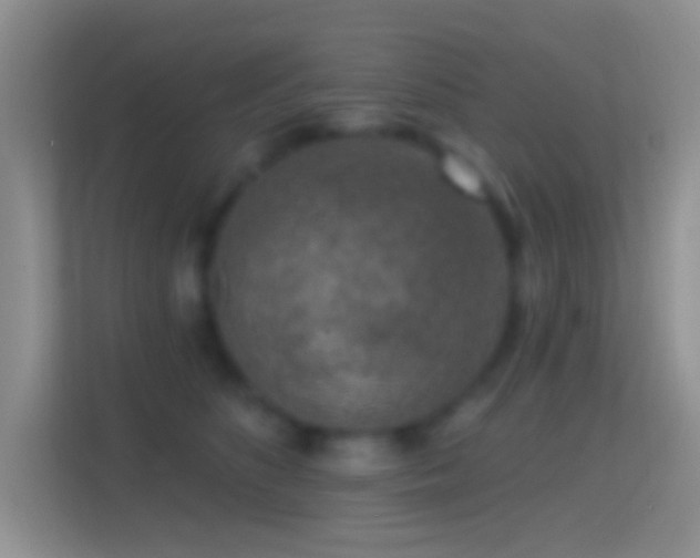 X0000114440516200910231321