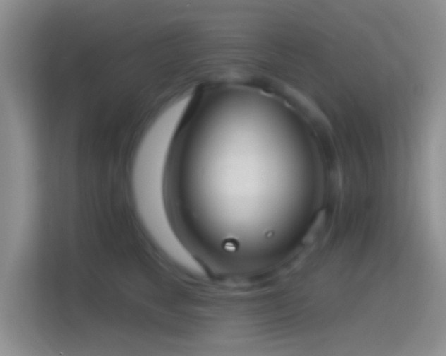 X0000114440517200910231321