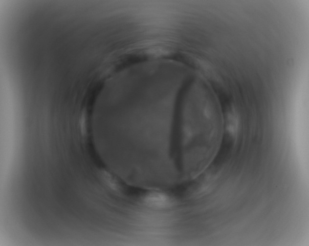 X0000114440519200910231321