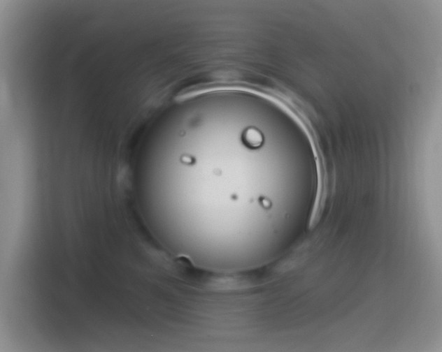 X0000114440521200910231321