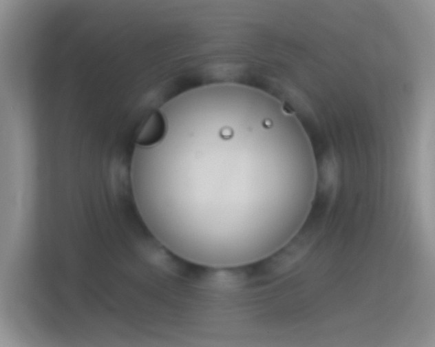 X0000114440522200910231321