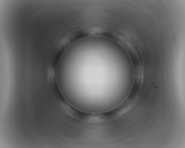 X0000114440523200910231321