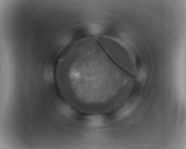 X0000114440524200910231321