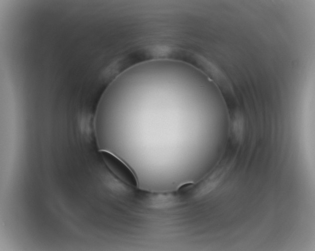 X0000114440525200910231321