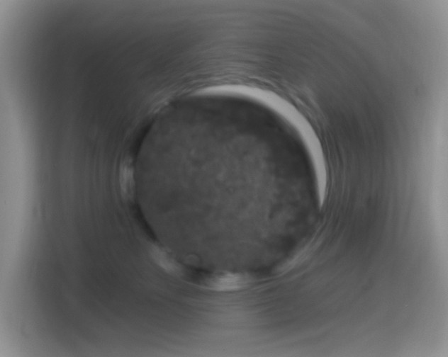 X0000114440527200910231321