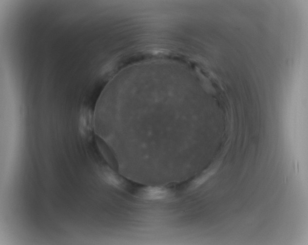 X0000114440528200910231320