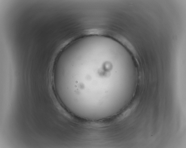 X0000114440529200910231320