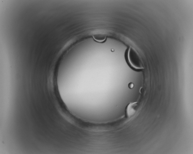 X0000114440530200910231320