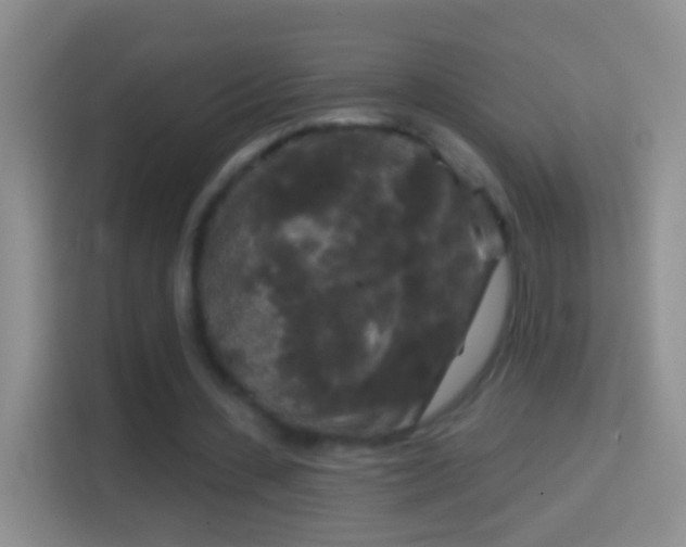 X0000114440531200910231320