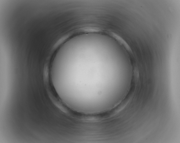 X0000114440533200910231320