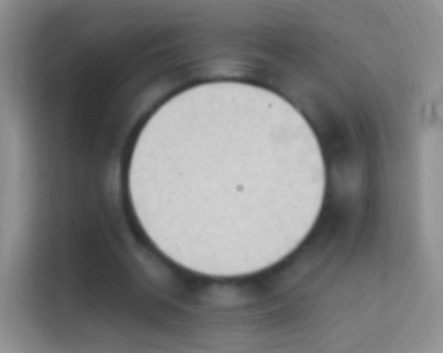 X0000114440534200910231320