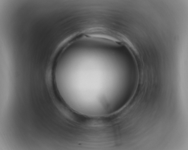 X0000114440535200910231320