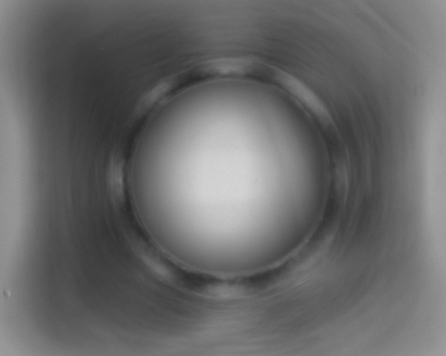 X0000114440537200910231320