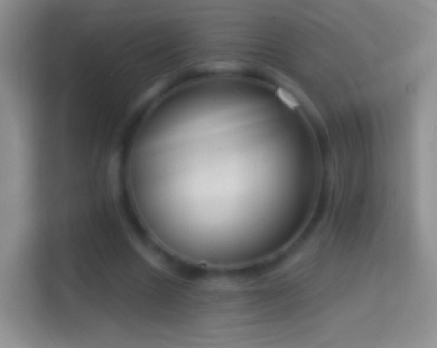 X0000114440538200910231320