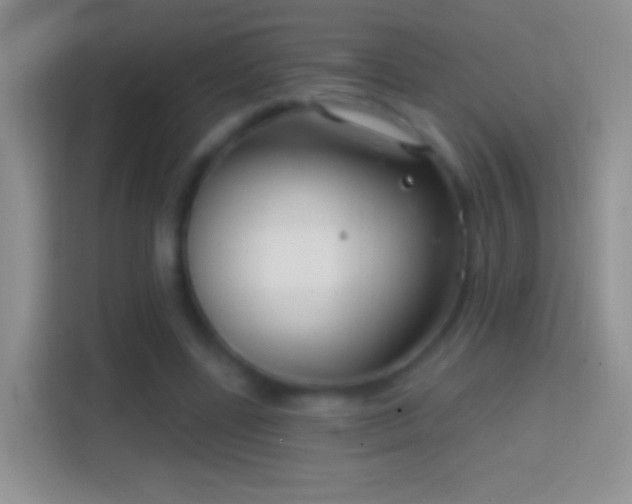 X0000114440539200910231320