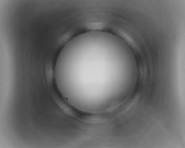 X0000114440541200910231320