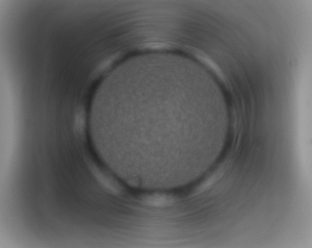 X0000114440542200910231320