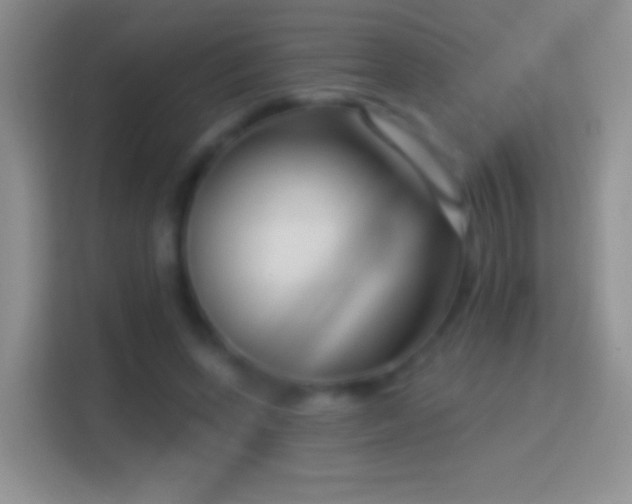 X0000114440543200910231320