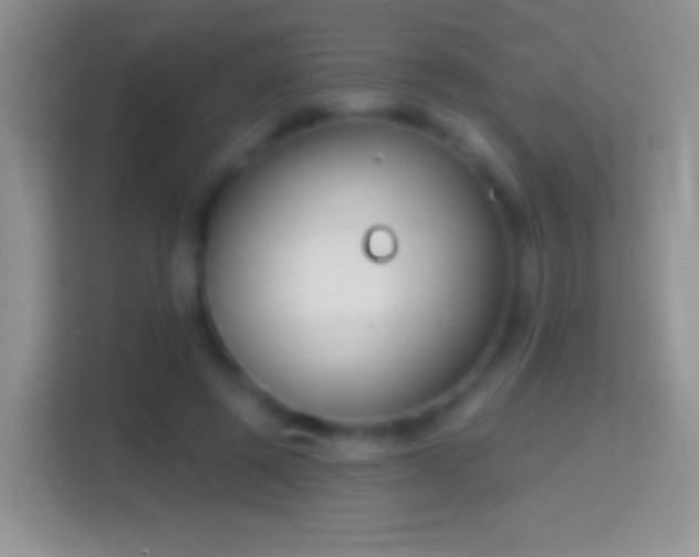 X0000114440545200910231320